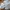 Hoka One One Cielo X1 White Blue photo 4
