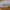 Nike Cortez X Clot OG Forresh Gump Clotes White photo 4