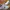 Nike Cortez X Clot OG Forresh Gump Clotes White photo 1