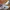 Nike Cortez X Clot OG Forresh Gump Clotes White