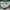 Original Timnas Indonesia Away Kit Mills Player Issue 2020 photo 4