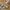 Louis Vuitton Trainer Low Brown Leather photo 1