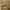 Louis Vuitton Trainer Low Brown Leather photo 4