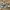 Louis Vuitton Trainer Low Brown Leather photo 3