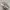 New Balance 530 Vintage Grey Matter photo 3