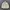 UNIQLO CREAM OVERSHIRT WORK JACKET