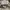 Nike Streetwear Vintage Pria gray photo 4
