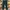 crocodile ladies denim cargo y2k army green photo 2