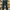 Crocodile Ladies Denim Cargo Y2k Army Green