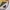 Stussy Sweater Billiard Natural  photo 4