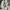 Pull & Bear Chinos Size 34 photo 4
