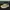 Vans Authentic Low Top Kasut photo 2