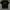 Vivastudi t-shirt photo 1