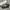 Blue Elephant Fanny Sunglass Grey Tint Gentle Monster photo 1