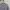 Crewneck Millet Grey photo 2