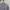 Crewneck Millet Grey