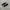 nike slip on photo 1