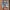 Urban craf double layer jorts photo 1