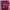 Jersey Home MU 2021/2022