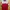 Jersey Home Madura United 2018/2019 photo 2