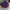 Descente X Honda HRC flag Racing jacket Windbreaker  photo 1