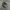 Kangol flstcap 507 original - Baret kangol - topi kangol photo 5