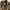 Dickies Twill Jaket Camo Flower photo 4