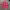 SWEATER PINK 1 photo 1
