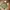 Jack Wolfskin Lightweight Puffer Gorpcore Jacket photo 3