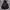 Hoodie MLB New York Rare photo 9