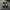 Sepatu Compass Velocity Size 41 photo 3