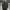 Jaket puffer ultralight super cakep mark new york andrew  photo 1