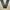 PSYCHO JINISO Highwaist Cargo,Baggy photo 1