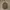 Backpack Carhartt