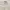 PPFM Streetwear Avant Garde Casual shirt Pria multicolor cream photo 3