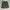 Global work utility Green Military Shortpants  photo 1
