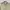 Calvin Klein Streetwear Luxury Casual shirt Pria multicolor khaki photo 2