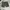 Utility Shortpants Green big pocket  photo 3