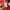 Jersey Template  Hummel photo 7
