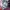 Grunge Avant Garde Hoody Pria multicolor photo 4