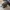 Dickies Boots Leather photo 7