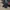 Dickies Boots Leather photo 1