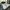 KASUR + DIVAN ELITE serenity photo 3