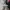 Suede Leather slipon shoes photo 3