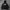 Avirex US Navy Pullover Hoodie photo 3