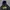 Avirex US Navy Pullover Hoodie photo 4