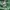 Yohji Yamamoto Avant Garde Coquette Cami top Wanita green photo 4