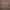 Hoodie Nike Brown Logo photo 3