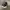 Oakley x Ducati monsterdog jet black (NOS) photo 8