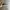 Oakley monsterdog matte black  photo 4
